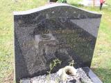 image of grave number 786005